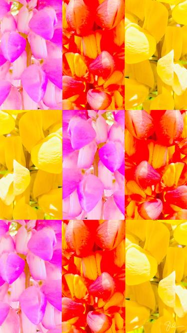Original Pop Art Floral Photography by Sarah Ikerd