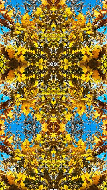 Print of Art Nouveau Time Photography by Sarah Ikerd