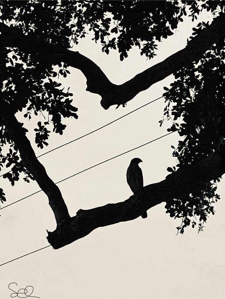 Original Nature Photography by Sarah Ikerd | Black & White Art on Metal | A New Day Learns To Rise