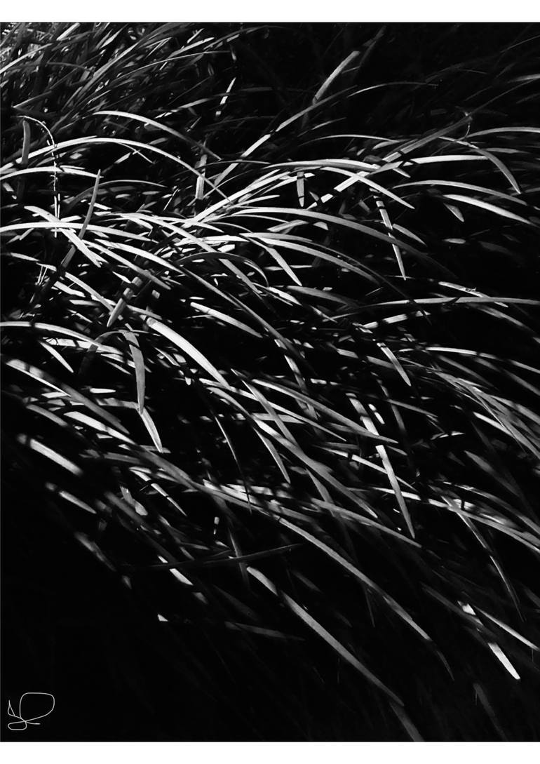 Original Beach Photography by Sarah Ikerd | Minimalism Art on Metal | Through The Grass At Night