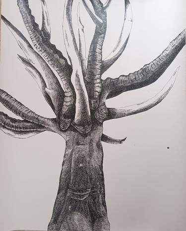 Original Botanic Drawings by Raksha S