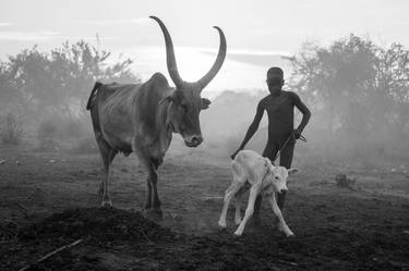 Print of Documentary Animal Photography by Svetlin Yosifov