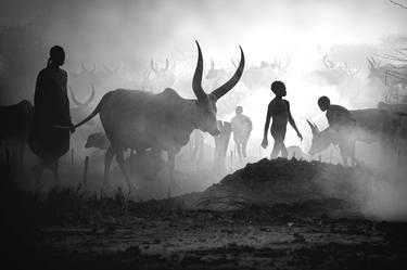 Mundari cattle camp thumb