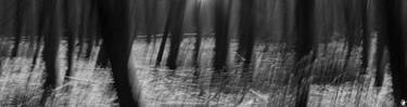 Original Abstract Photography by Sabine Stoye