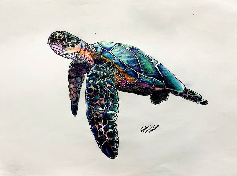 Turtle Gradient Drawing by Deelaka Perera | Saatchi Art