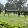 MHS Horse Sculptures at Principio Furnace
