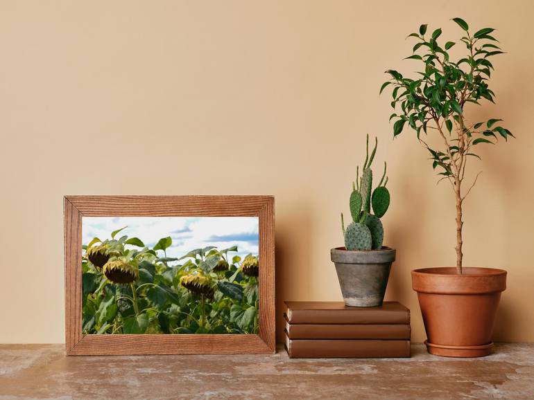 Original Other Nature Photography by Adam Mankowski