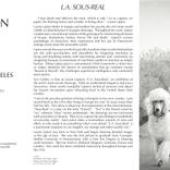 L.A. SOUS-REAL: new works at the Ace Gallery, L.A. by Laurie Lipton