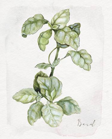 Original Fine Art Botanic Paintings by Jennifer Lorton