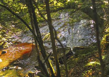 Print of Nature Photography by Waldemar Trebacki