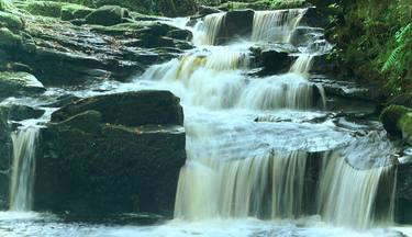 Original Art Deco Nature Photography by Waldemar Trebacki