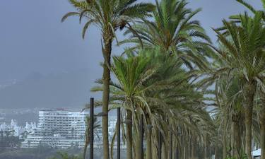 Original Contemporary Beach Photography by Waldemar Trebacki