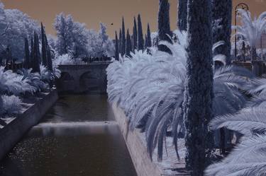 Original Abstract Garden Photography by Waldemar Trebacki