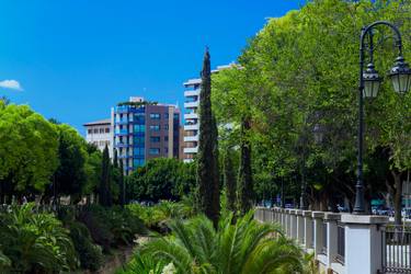 Original Art Deco Garden Photography by Waldemar Trebacki