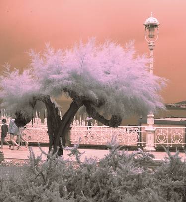 Print of Nature Photography by Waldemar Trebacki