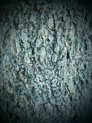 Holy tree - Abstract art thumb
