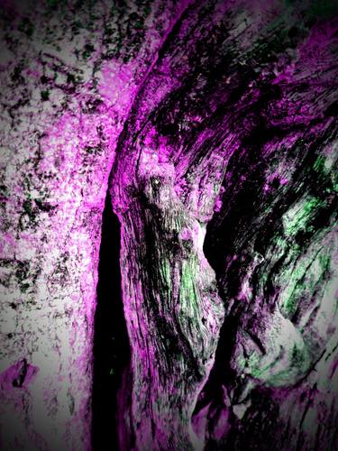 Holy tree - Abstract art photography_AEK-0002 thumb