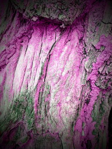 Holy tree - Abstract photography_AEK-0038 thumb