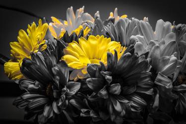 Original Fine Art Floral Photography by lens love