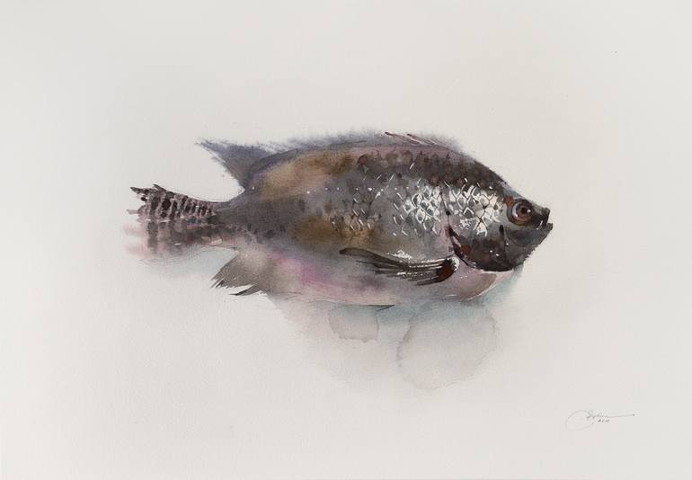 Tilapia fish Painting by Ekaterina Pytina