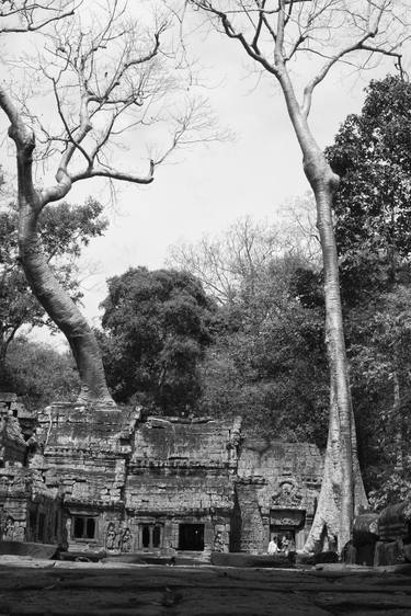 Ta Prohm thumb