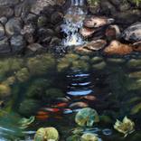 Koi Pond by Jeffrey Dale Starr