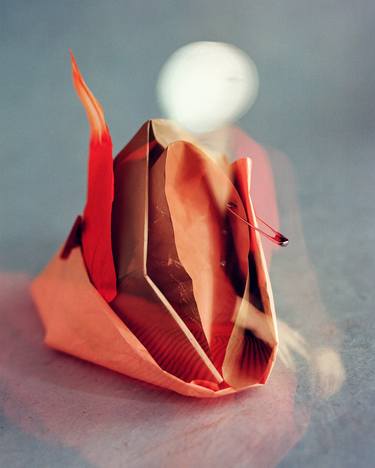 Original Figurative Still Life Photography by Tania Serket