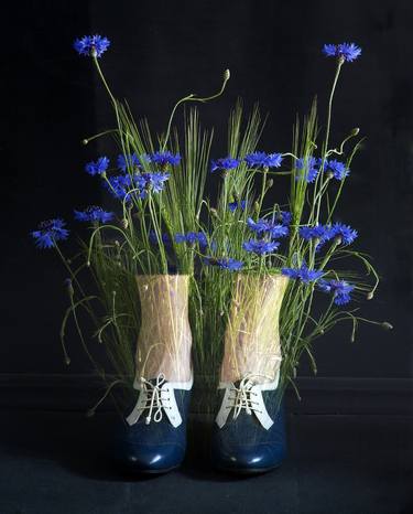 Original Floral Photography by Tania Serket