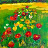 Wild Poppies in the High Grass by Mutlu Ertac