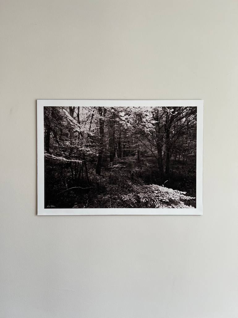 Original Documentary Nature Photography by Mert Akdeniz