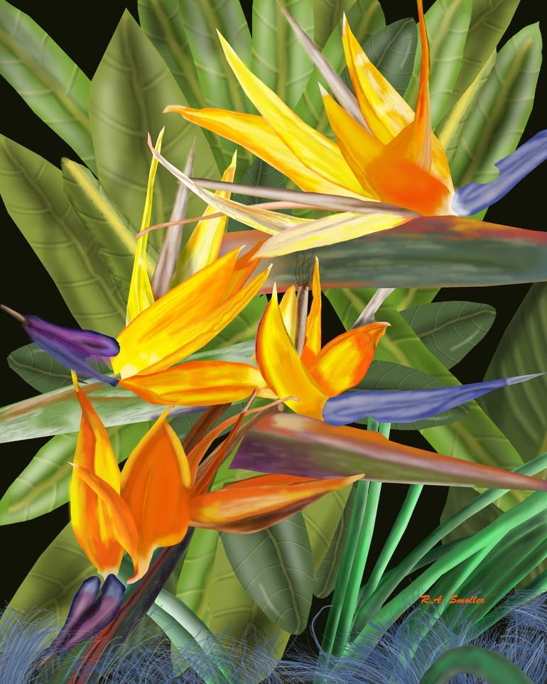 View in a Room Artwork