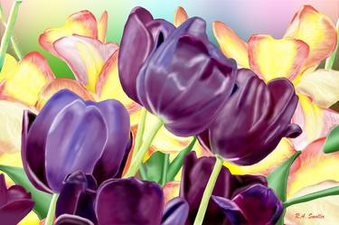 Purple Tulips thumb