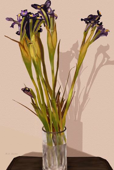 Dying Irises thumb