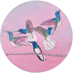 Quantum Hummingbird