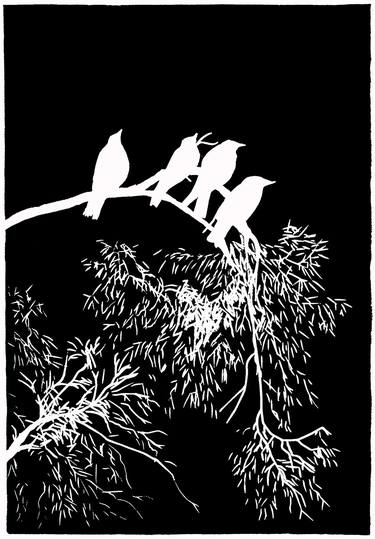 Original Black & White Animal Printmaking by Magdalena Piwko-Chudzik