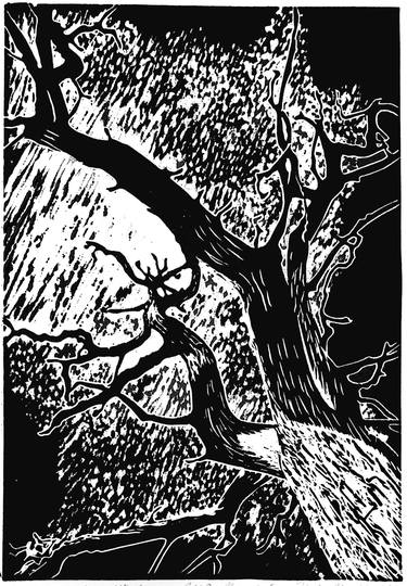 Original Black & White Botanic Printmaking by Magdalena Piwko-Chudzik