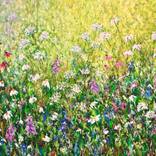 From Spring to The Summer by Pooja Verma