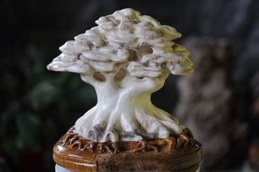 Nature's Serenade: The White Petrified Wood Tree of Life thumb