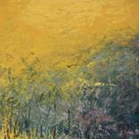 bird by nino metreveli