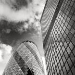 The Gherkin & Friend by Henry  Yau