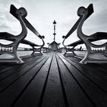 Lines & Curves by Henry  Yau