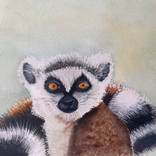 Collection Photorealism