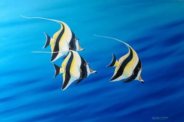 Print of Fine Art Fish Paintings by ANDREW HASLER