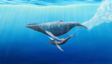 Humpback whales mother & calf thumb