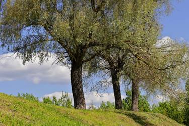 Summer landscape in Juli thumb