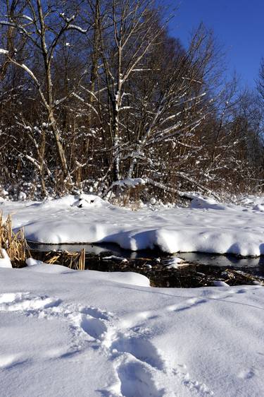 Winter landscape in February thumb