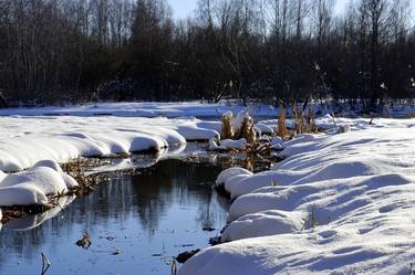 Original Impressionism Nature Photography by Väino Valdmann