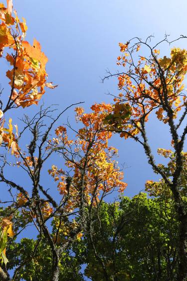 Autumn landscape in September thumb