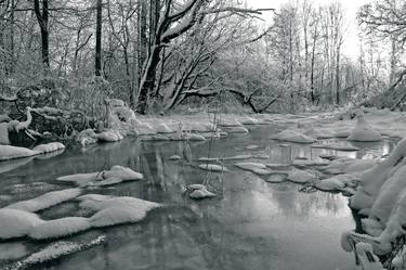 Original Nature Photography by Väino Valdmann