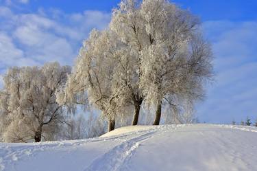 Winter landscape in December thumb